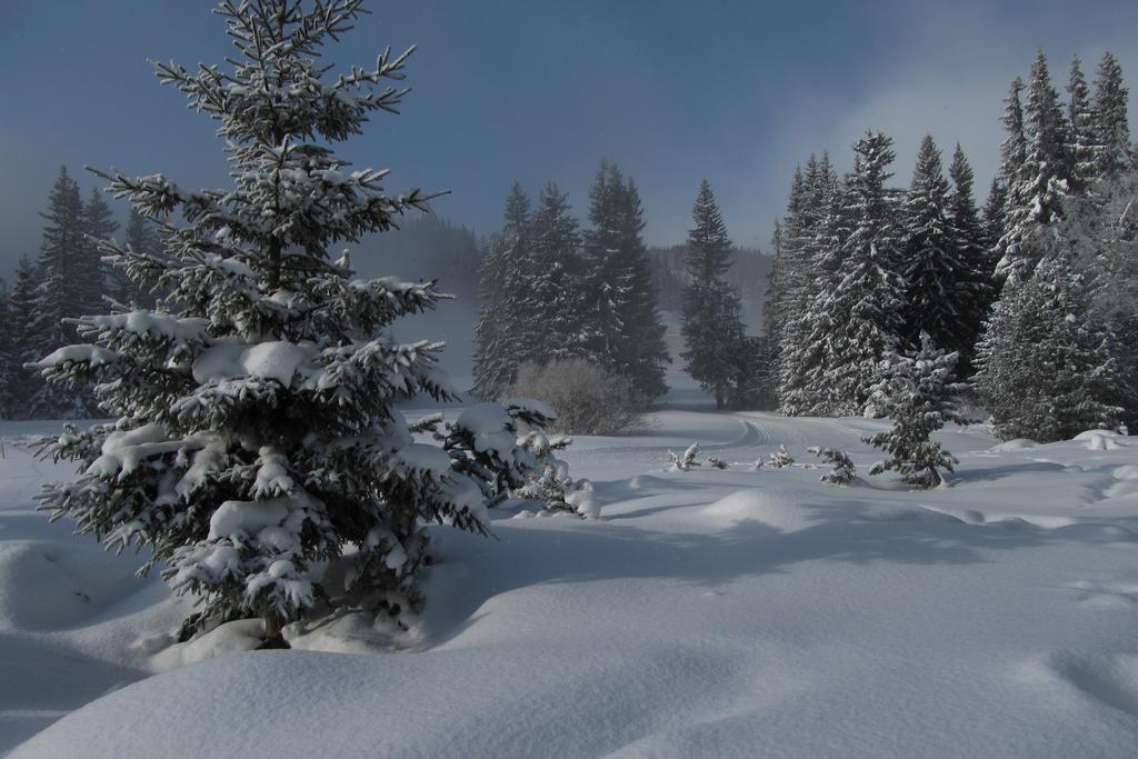 Apartmán Štrbské Pleso - Crocus 219 Esterno foto