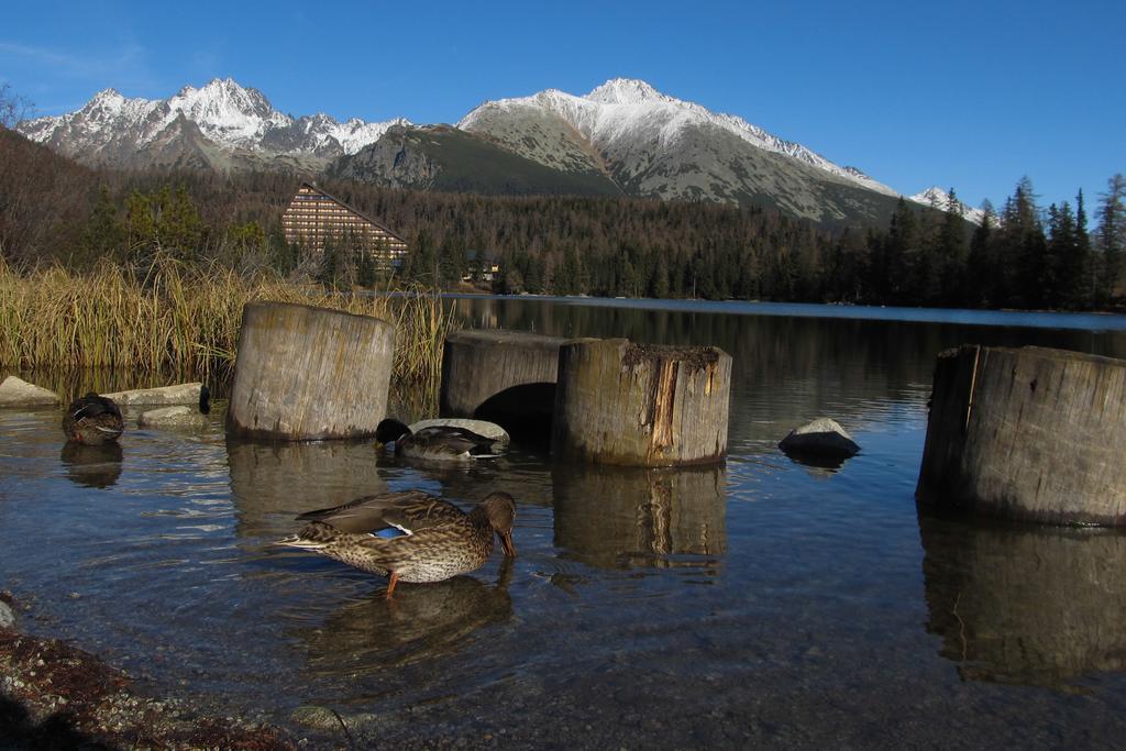 Apartmán Štrbské Pleso - Crocus 219 Camera foto